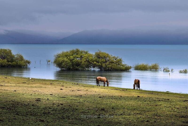 Patagonia Horses фото превью