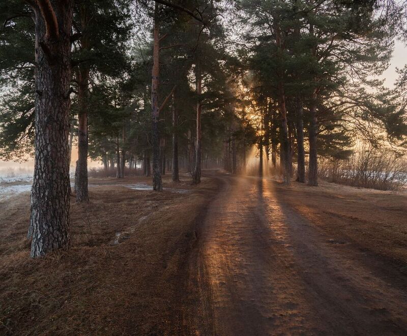 Апрельский свет  фото превью