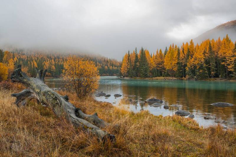 россия, горный алтай, река, туман, утро, осень Туман после дождя фото превью