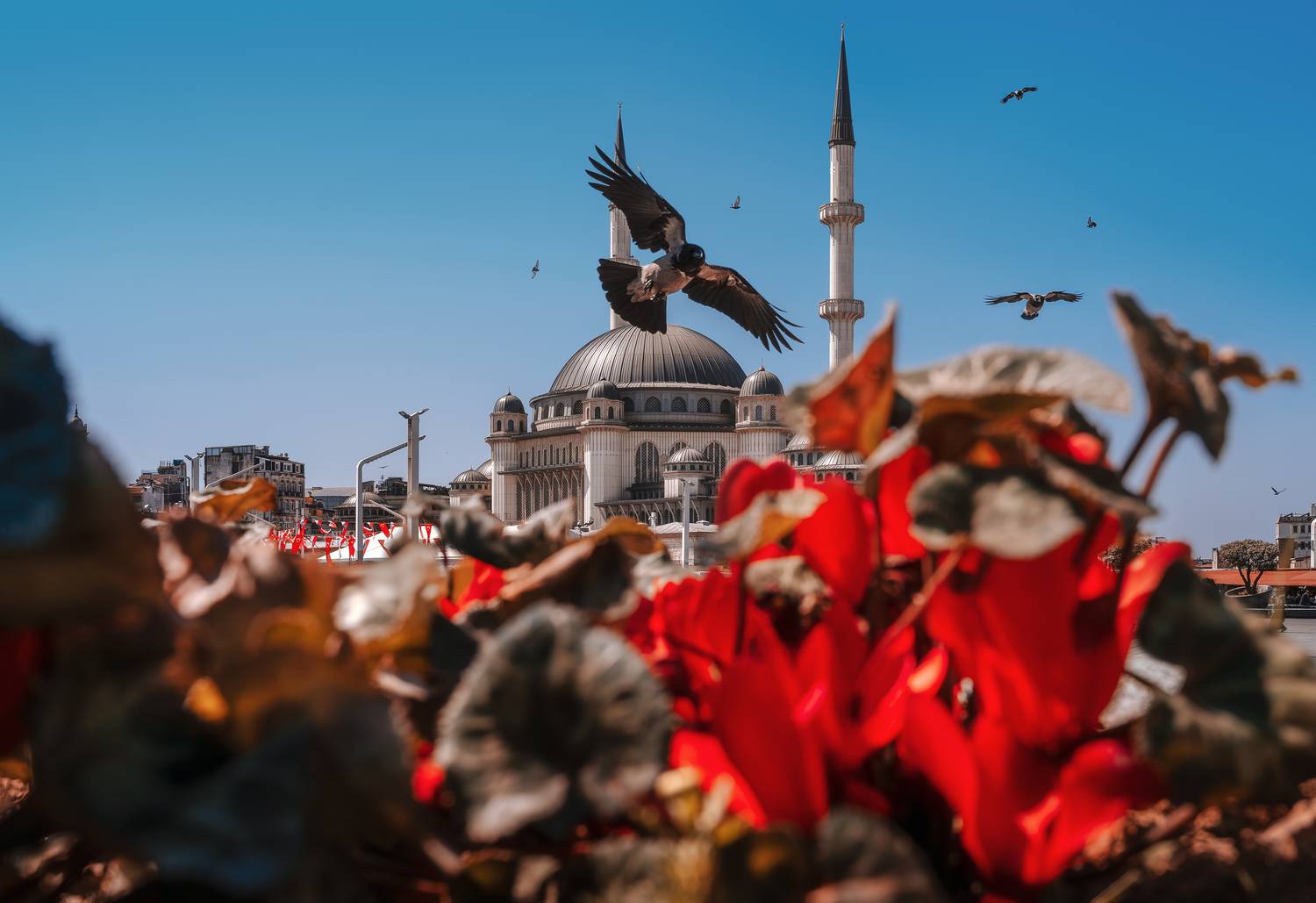 стамбул, мечеть, таксим, istanbul, Мазурева Анастасия