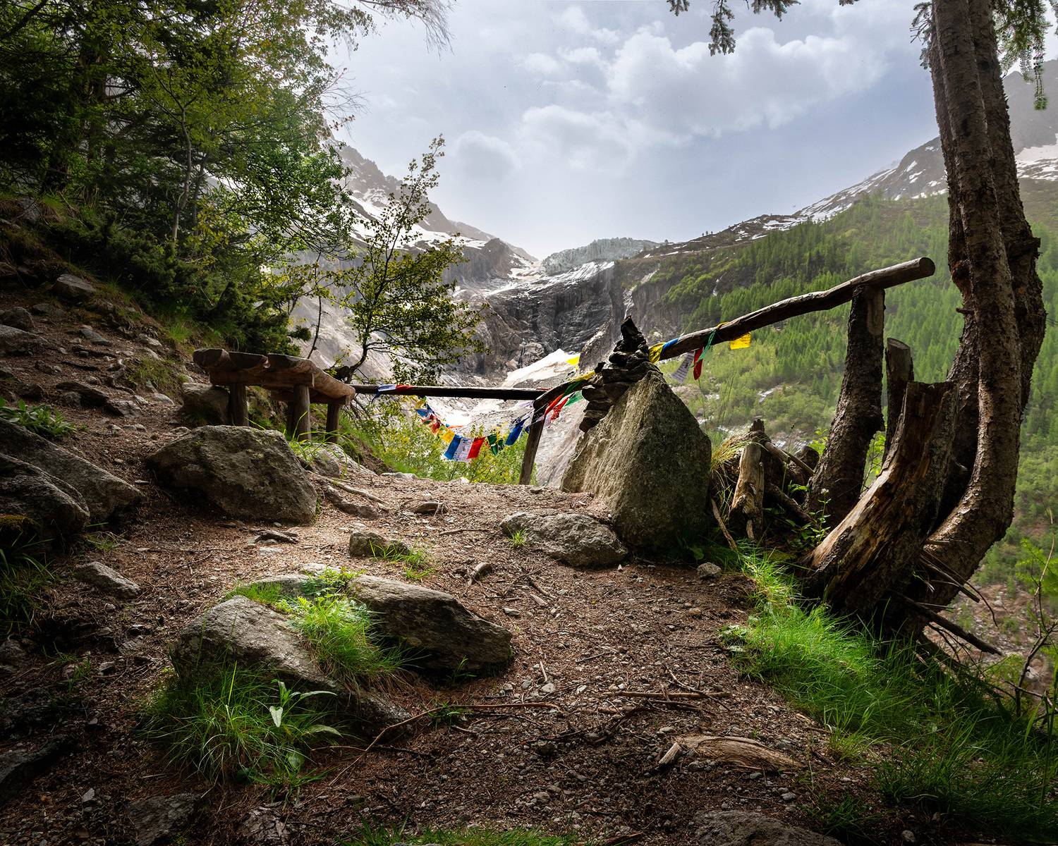 , Gasiorowski Wladyslaw