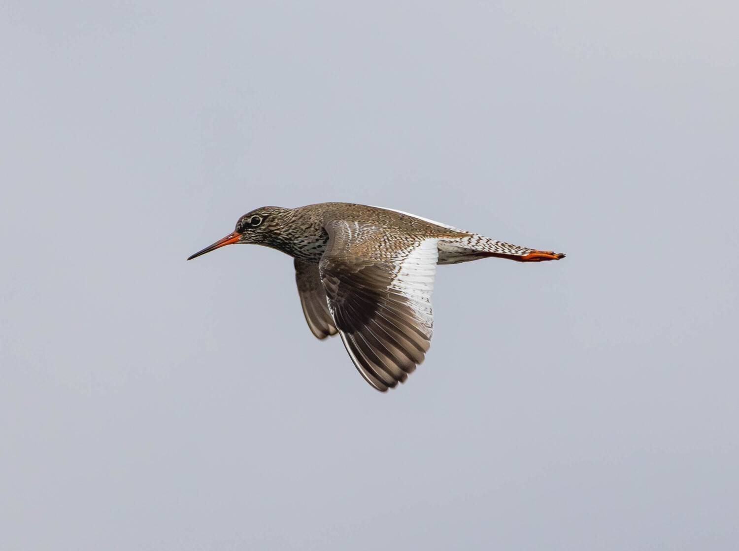 , Жуков Михаил