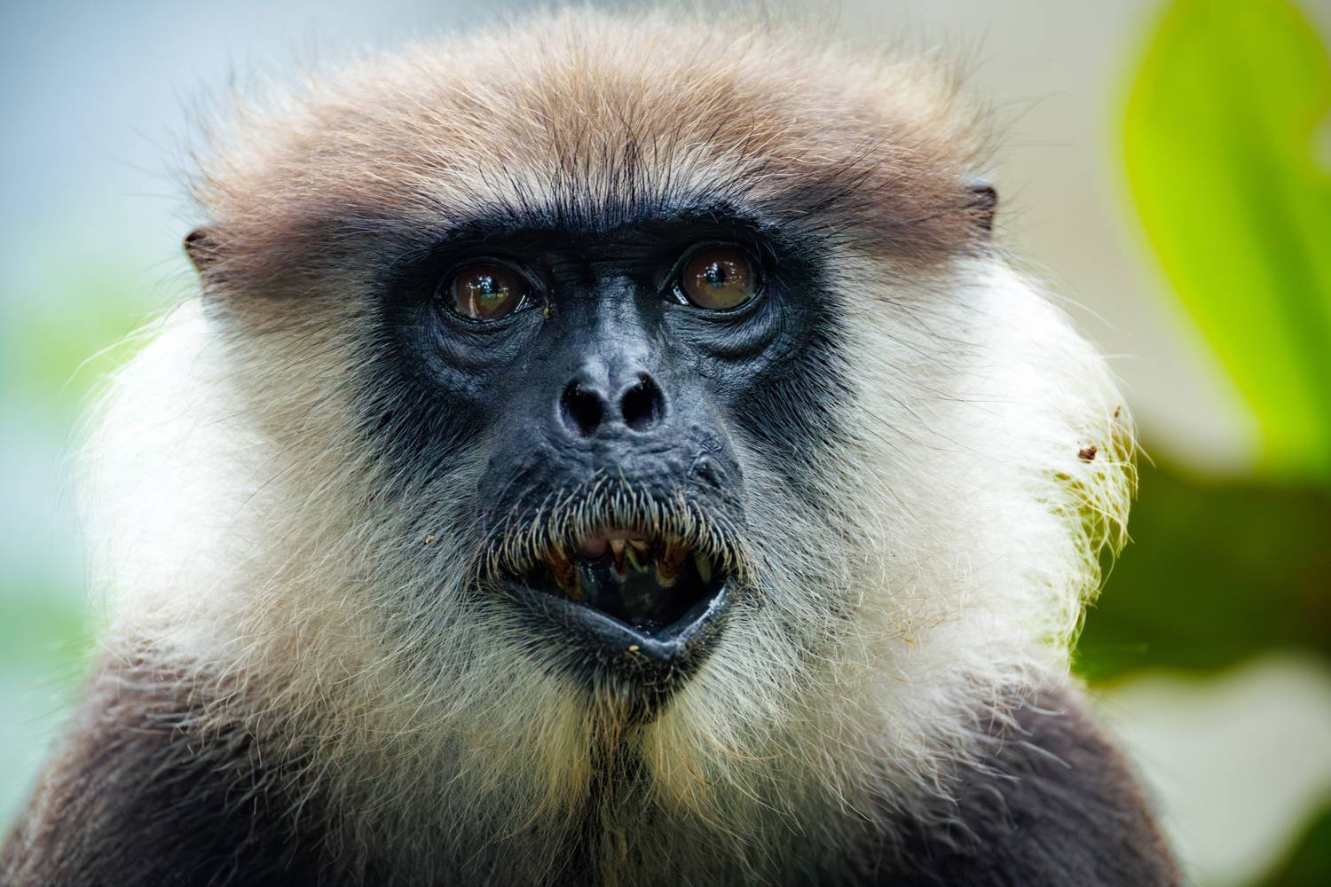 , ssmirs Сергей