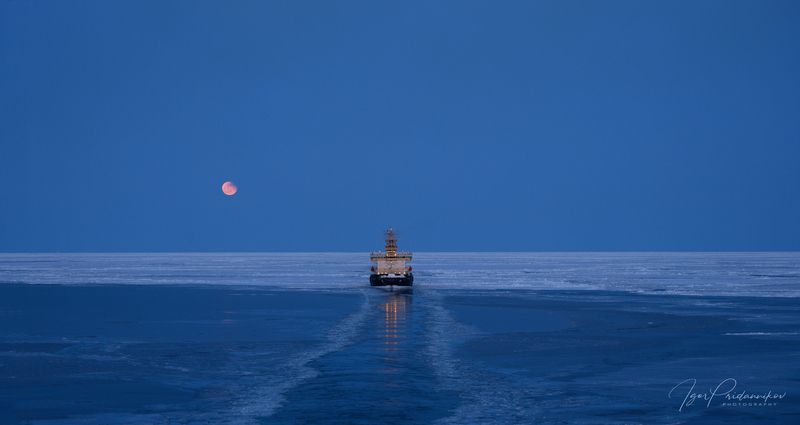 В лунном сиянии... фото превью