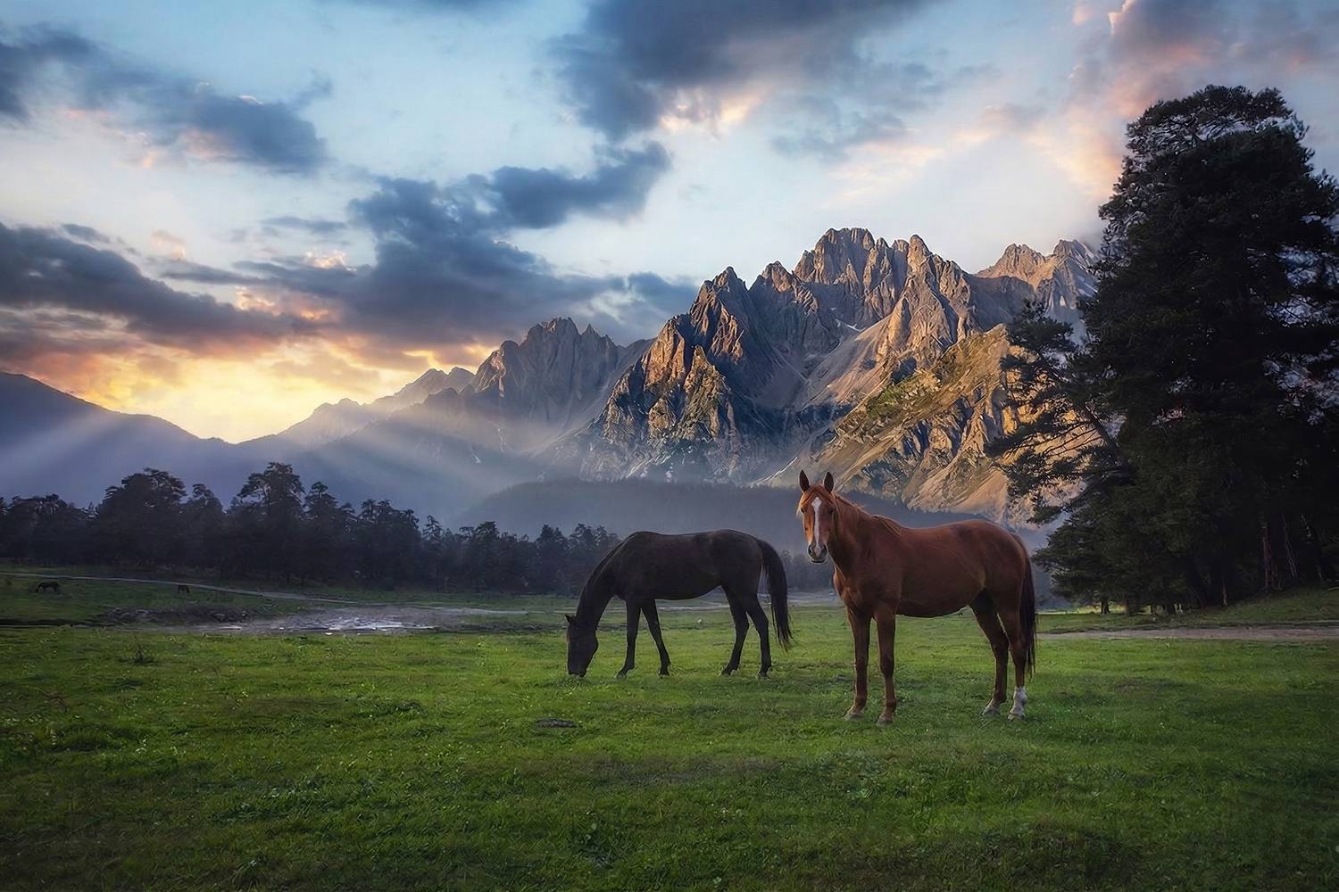 , Костенко Александр