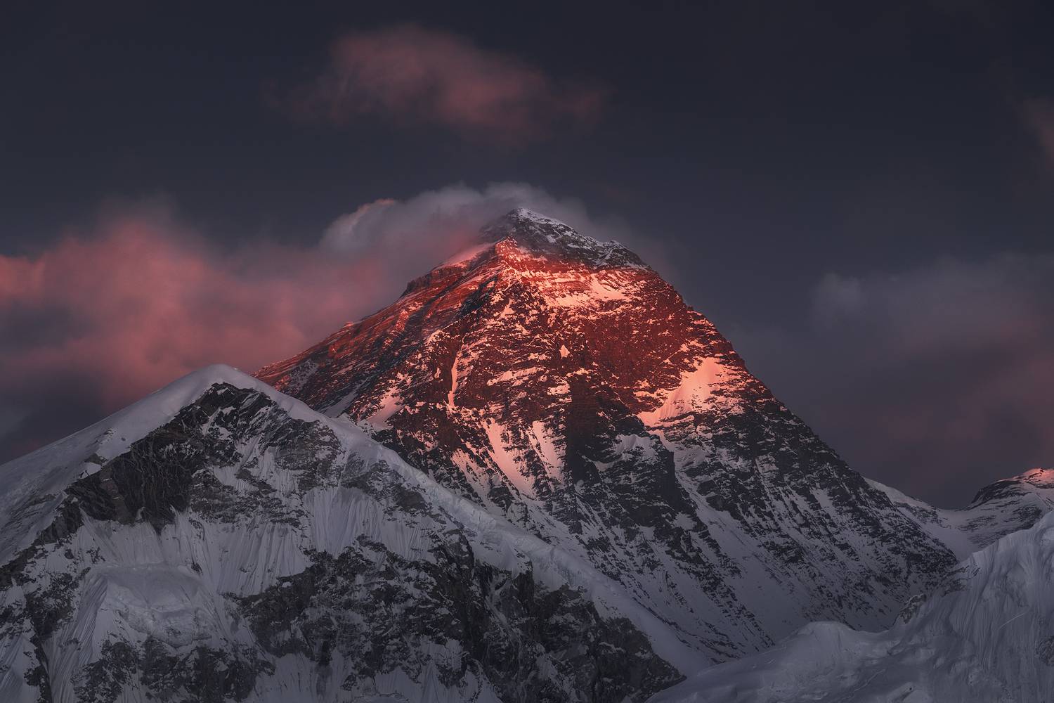 , Политова Анна