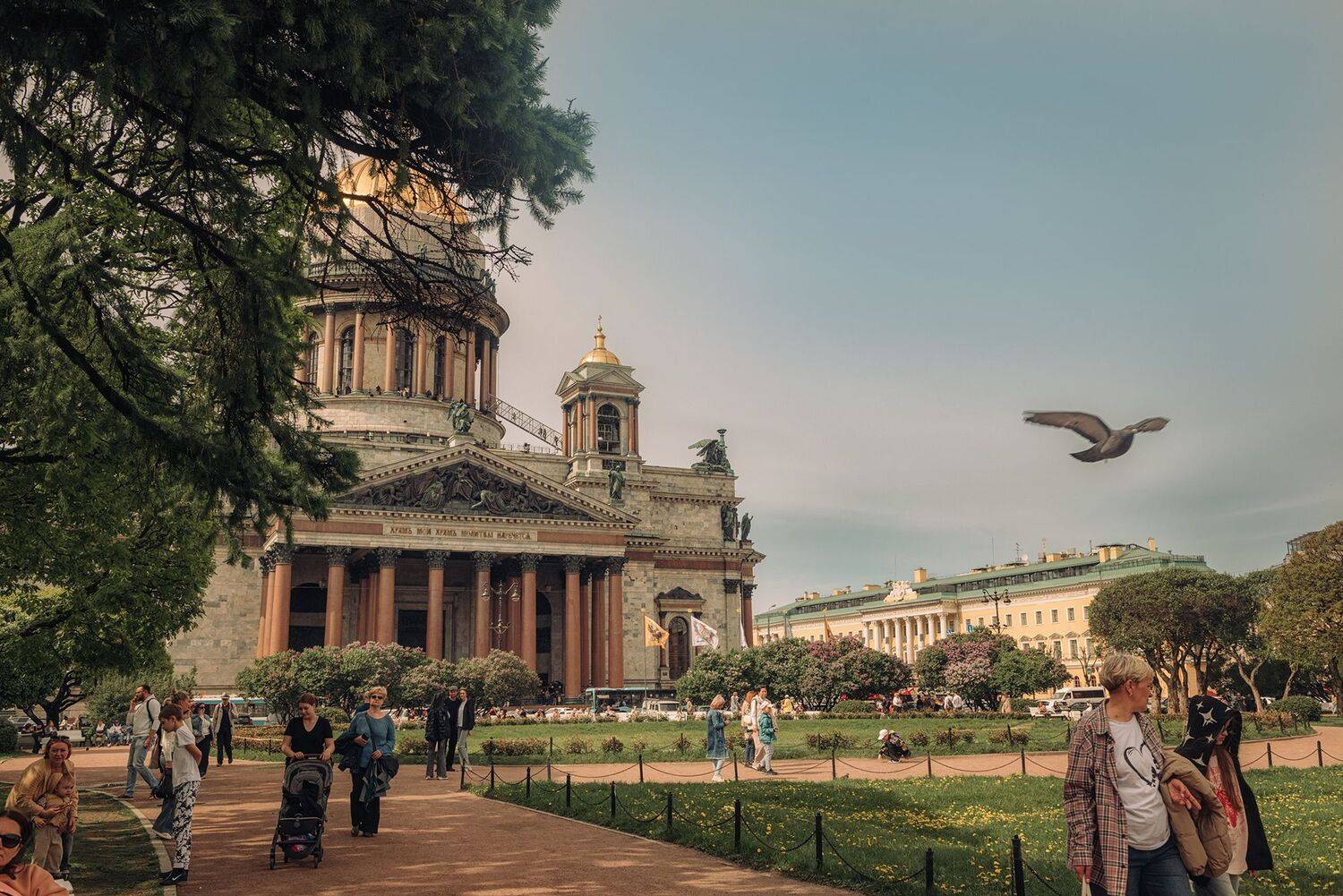 Исаакиевкий, собор, сквер, весна,  Мария