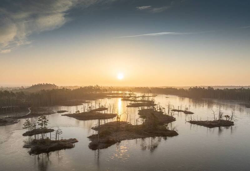 Золотой час фото превью