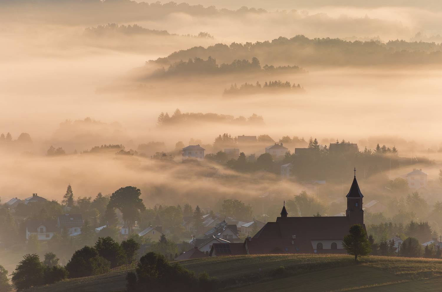 ,  Mirosław Pruchnicki