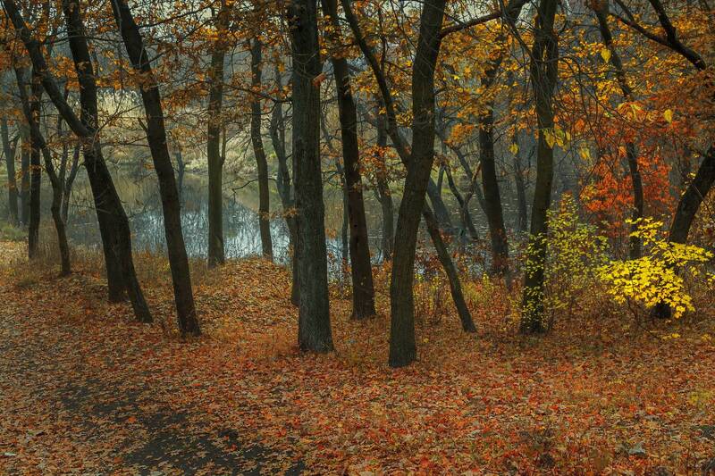 Осень у пруда. фото превью