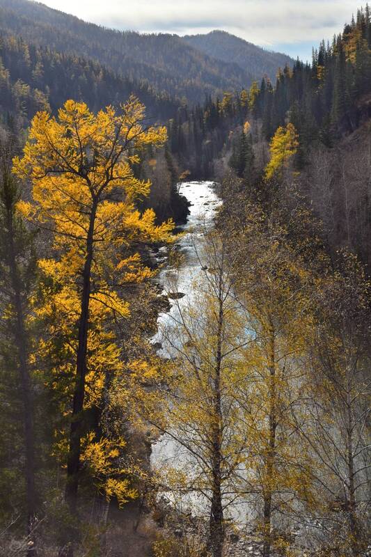 Осенний Алтай фото превью