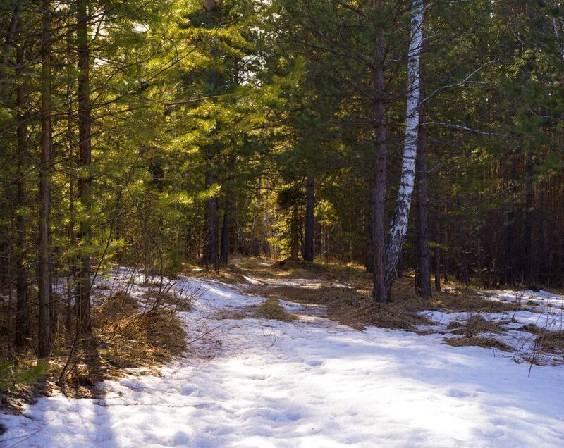 из зимы в лето фото превью
