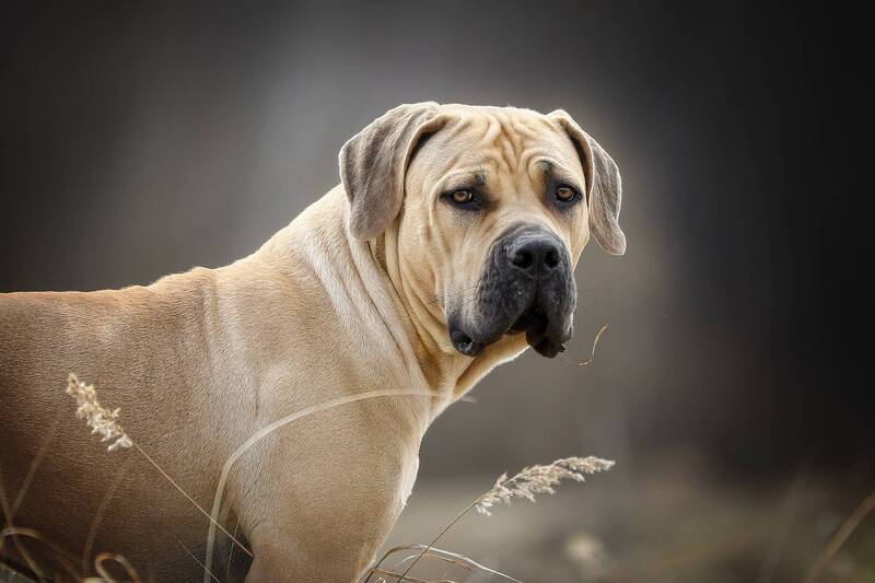 ...... фото превью