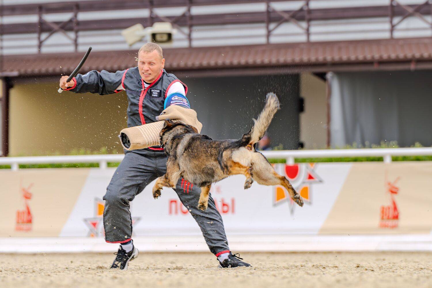 , Сергей Жиркевич