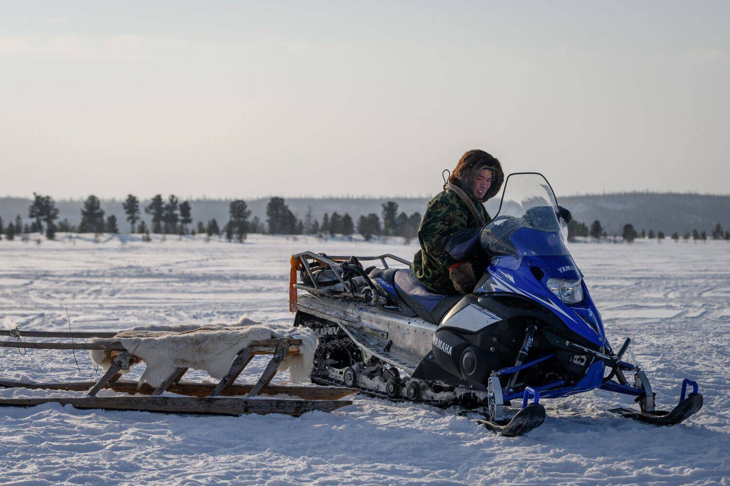 тундра, ненец, оленевод, нарты, снегоход, ямал, надым, Сторожев Олег
