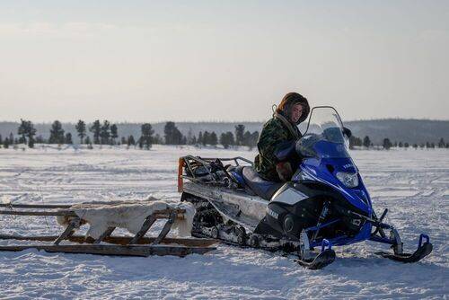 Оленевод Ямала