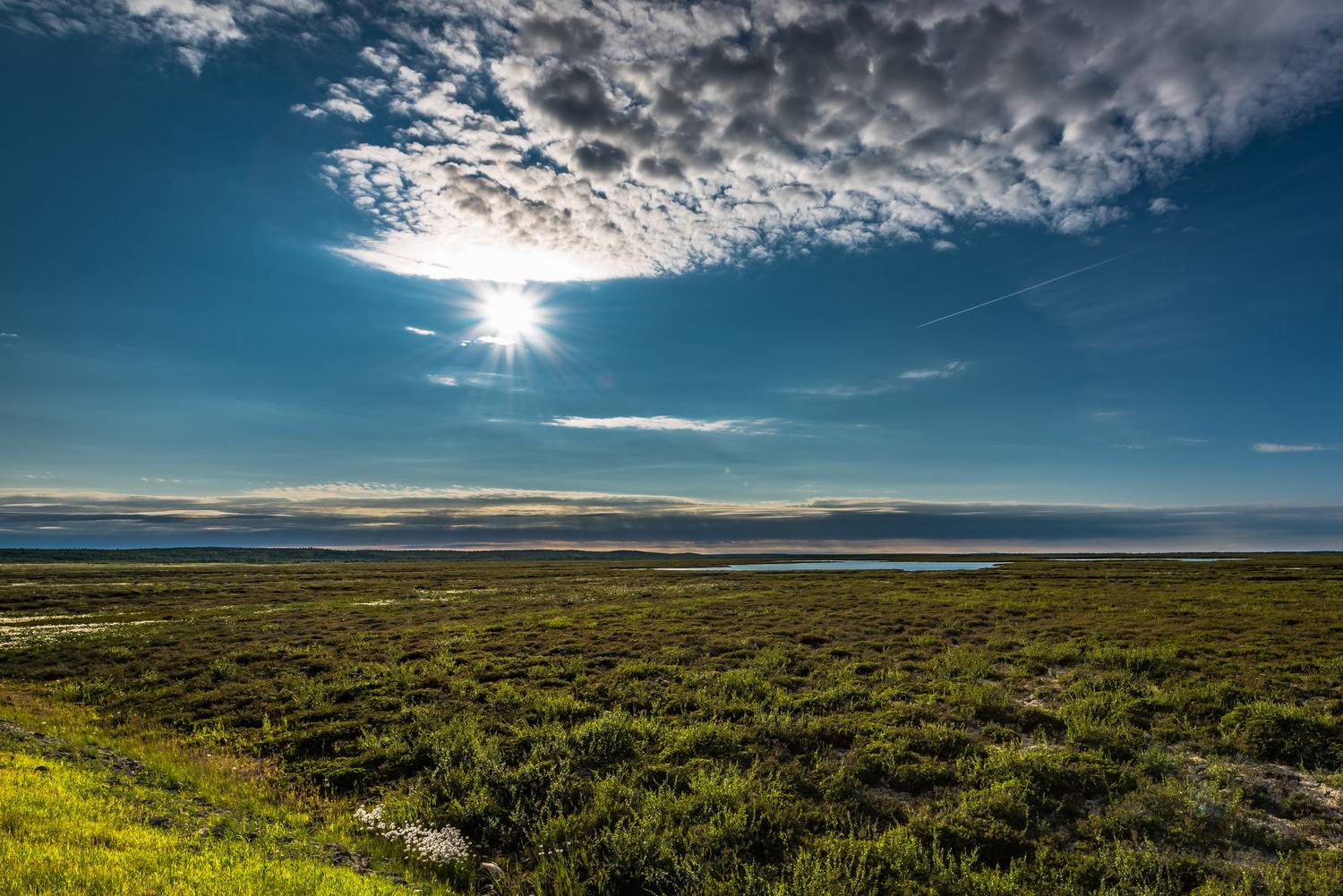 тундра, небо, крайний север, ямал, янао, надым, пейзаж, Сторожев Олег