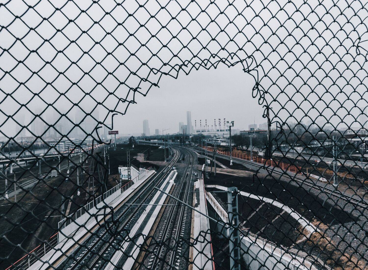 , Трепольский Дмитрий