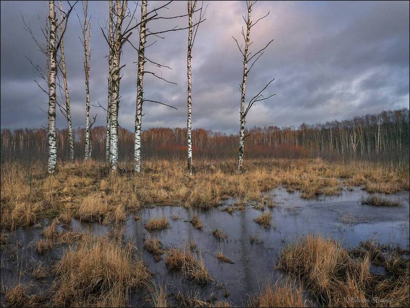 Гиблое место фото превью