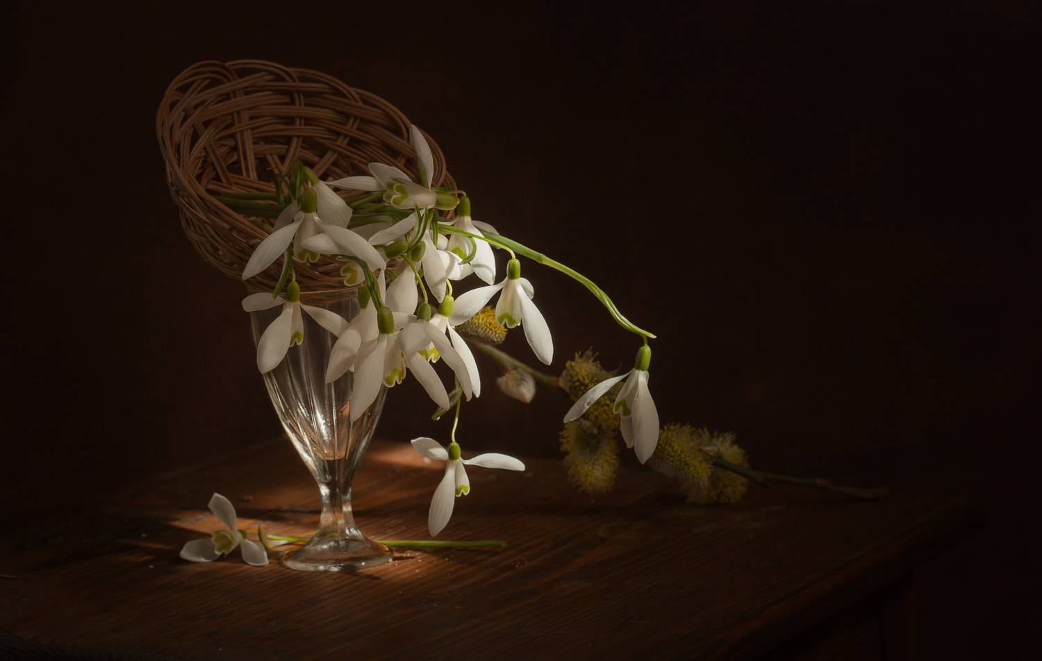 , Хвойнова Елена