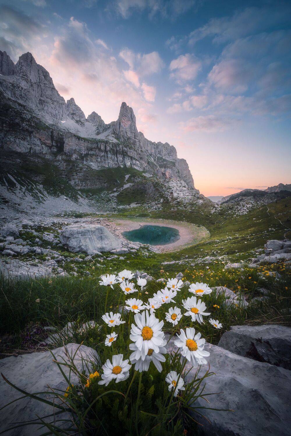 , Вукотић Никола