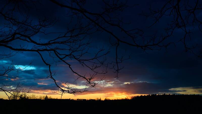 sunset, sunrise, clouds, sky, evening, morning, landscape, branch, tree, light, sun, weather *** фото превью