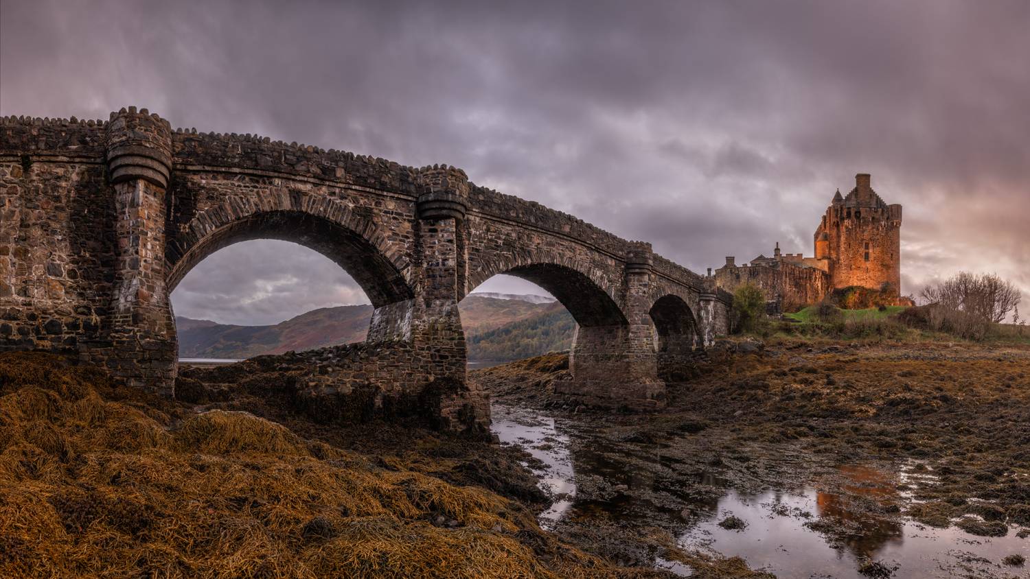 scotland, шотландия, Алещенко Сергей