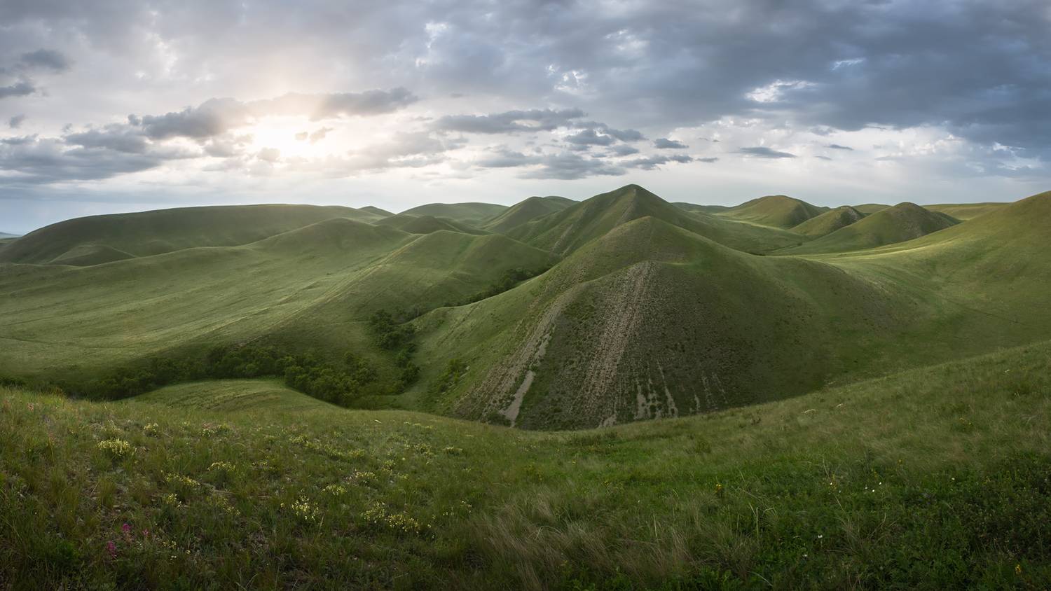 , Арсений Кашкаров