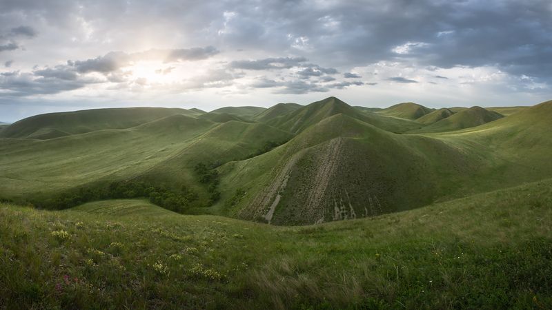 Зеленый рай Оренбуржья фото превью