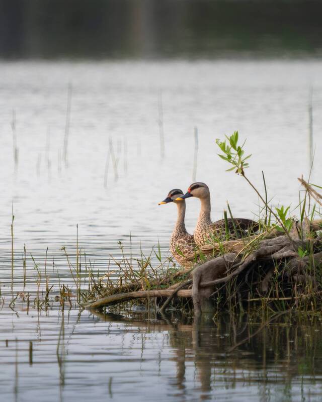 Вместе фото превью