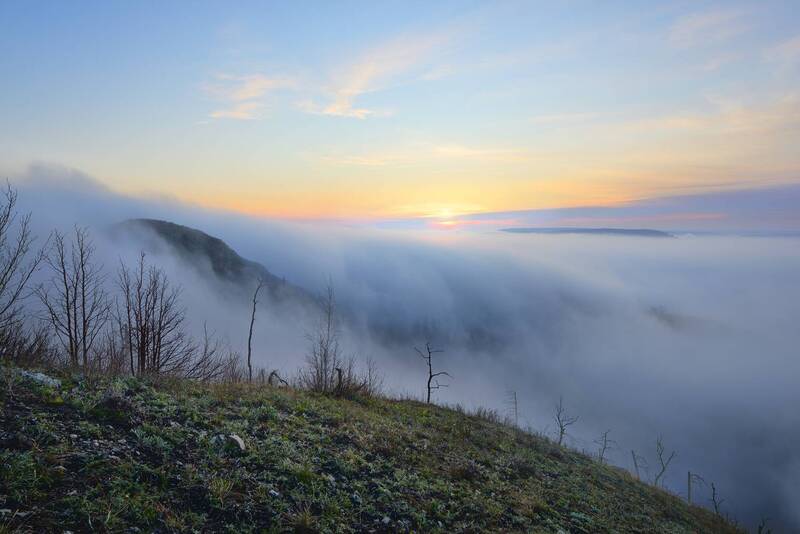 Спрятались. фото превью