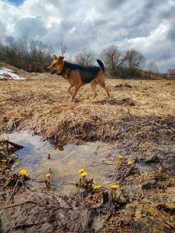 фото превью