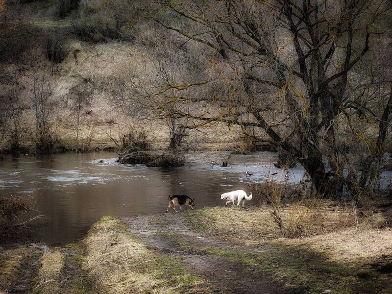 фото превью