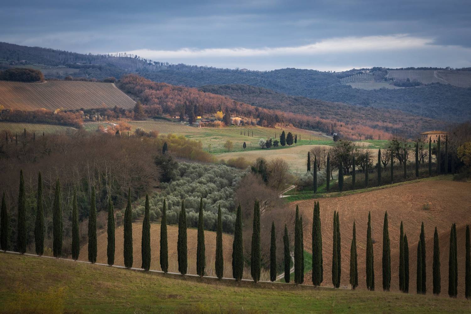 , Алекс Римский