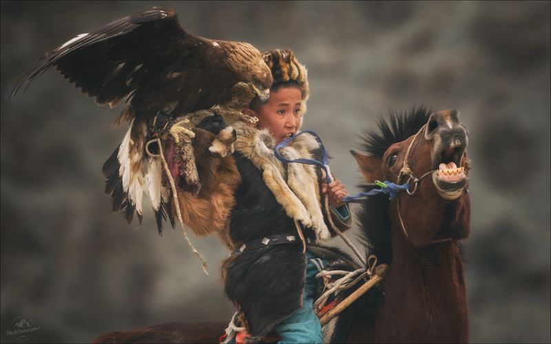 монголия, фестиваль охотников с беркутами, беркутчи, беркут, mongolia, golden eagle festival, фототур в монголию, фототур на алтай и в монголию, фототуры 2026 Драйв фото превью