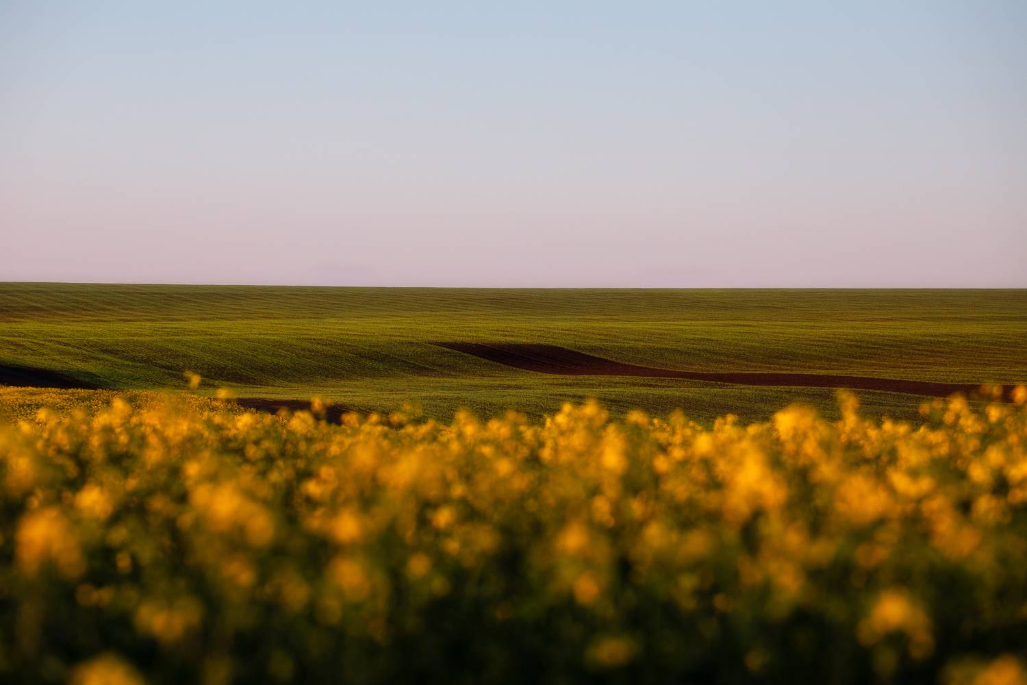 тульская область, природа, пейзаж, закат, Мартыненко Дмитрий