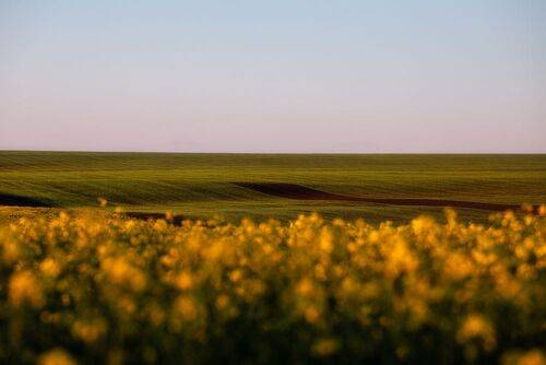 Тульская область