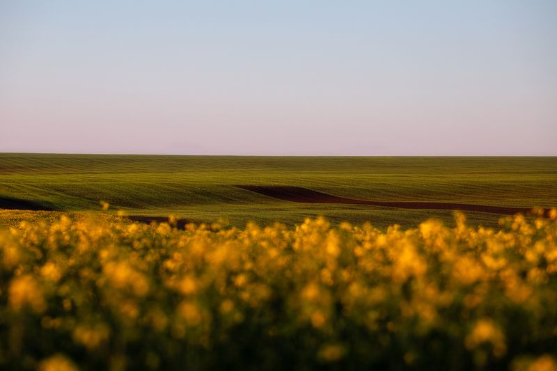 тульская область, природа, пейзаж, закат Тульская область фото превью