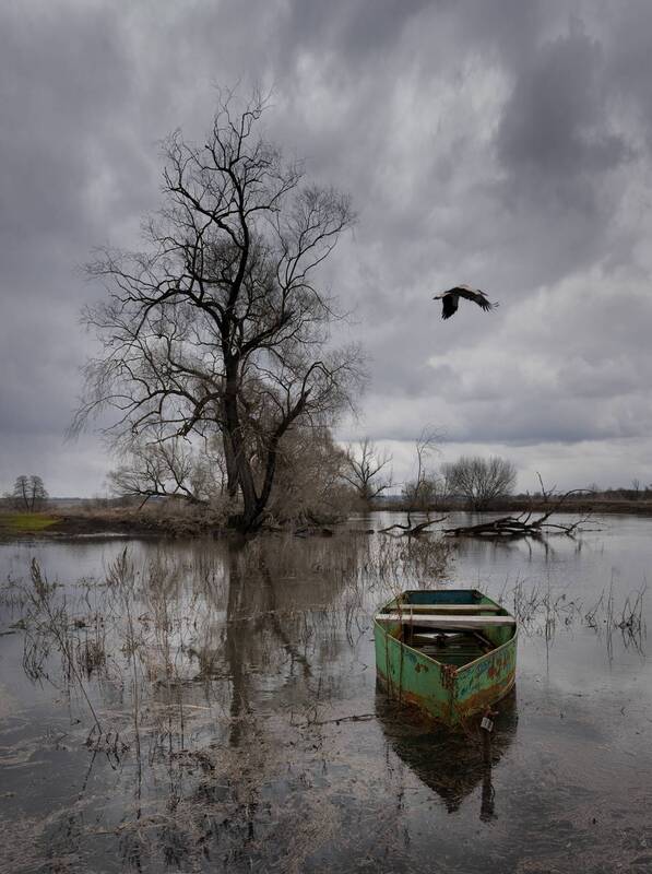 *** фото превью