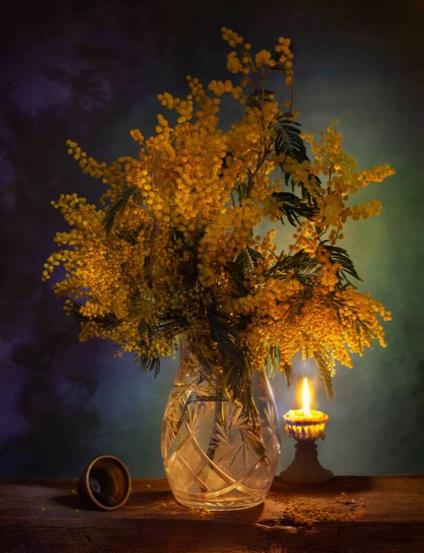 мимоза, натюрморт, весна Мимоза фото превью