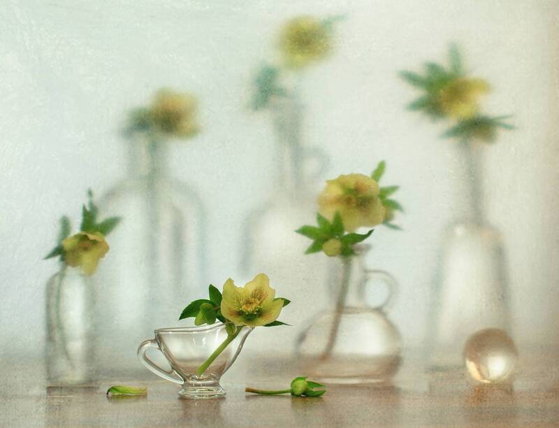 *** фото превью