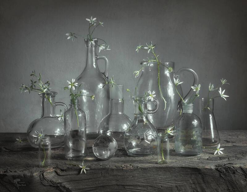 *** фото превью