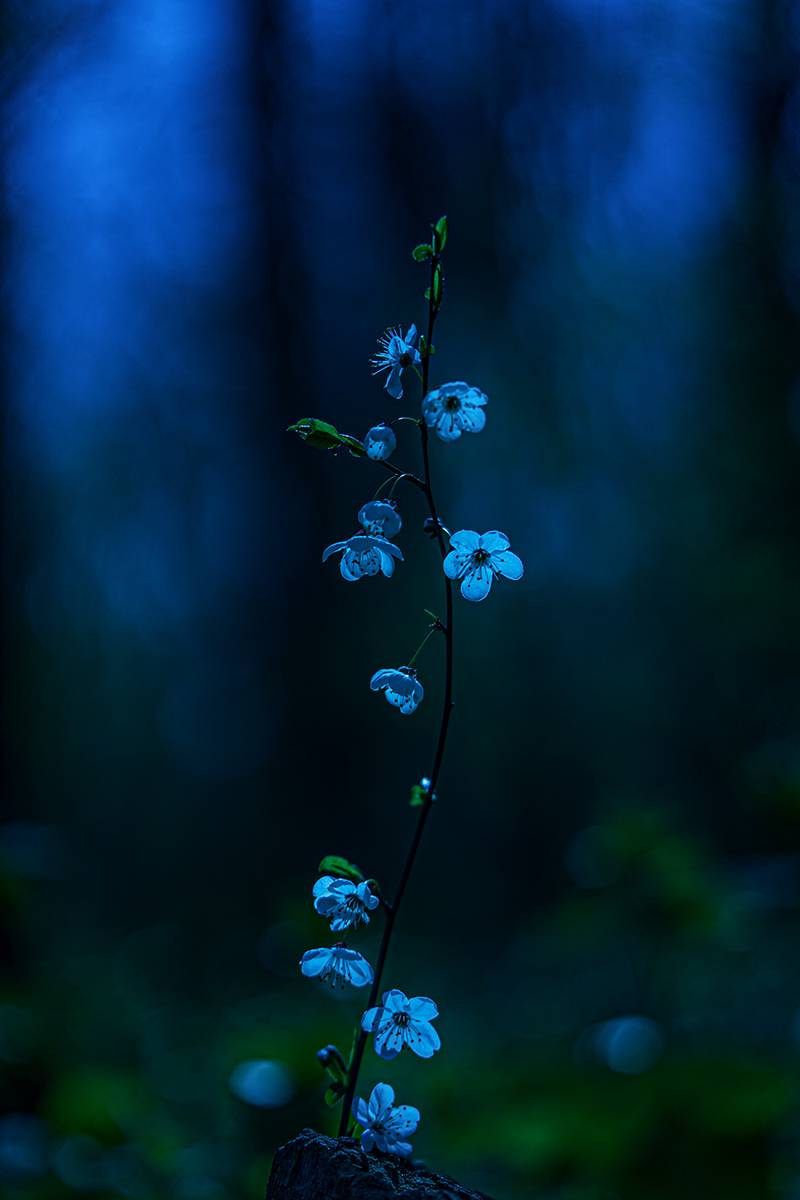 , Рябов Игорь