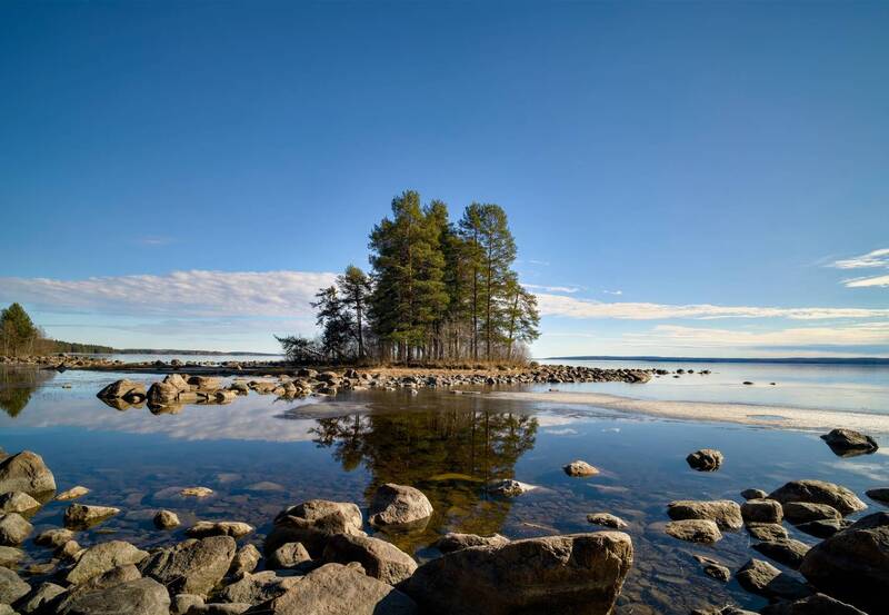весна, онего, остров, валун, камень, сосна Камень и дерево фото превью