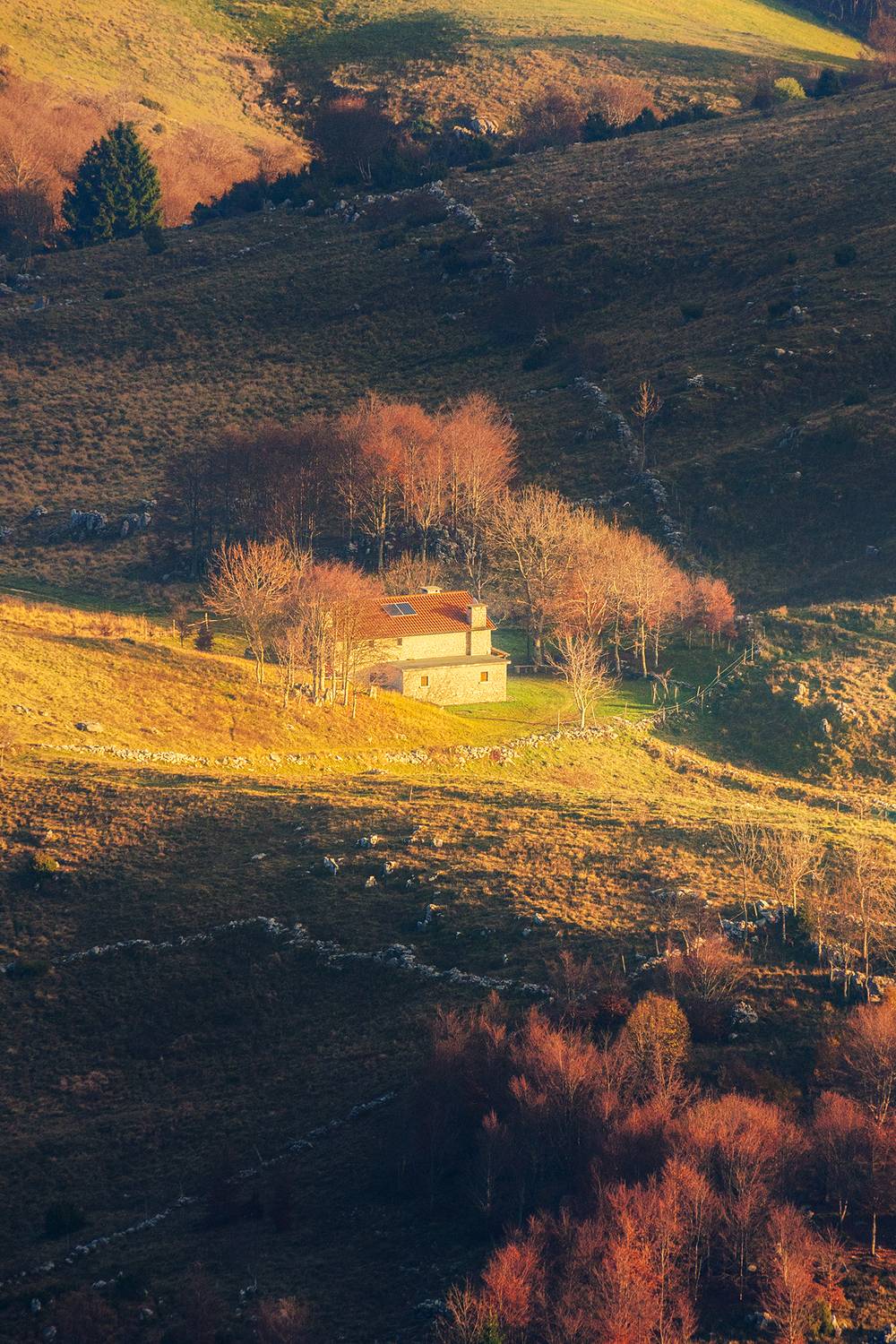 , Mazz&ugrave; Andrea