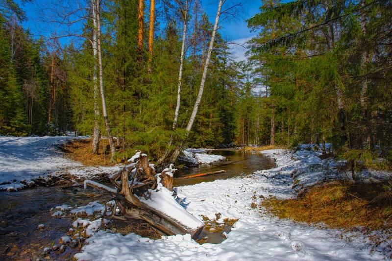 Весенний день фото превью