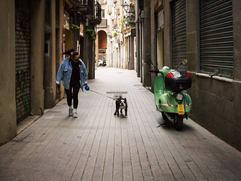 фото превью