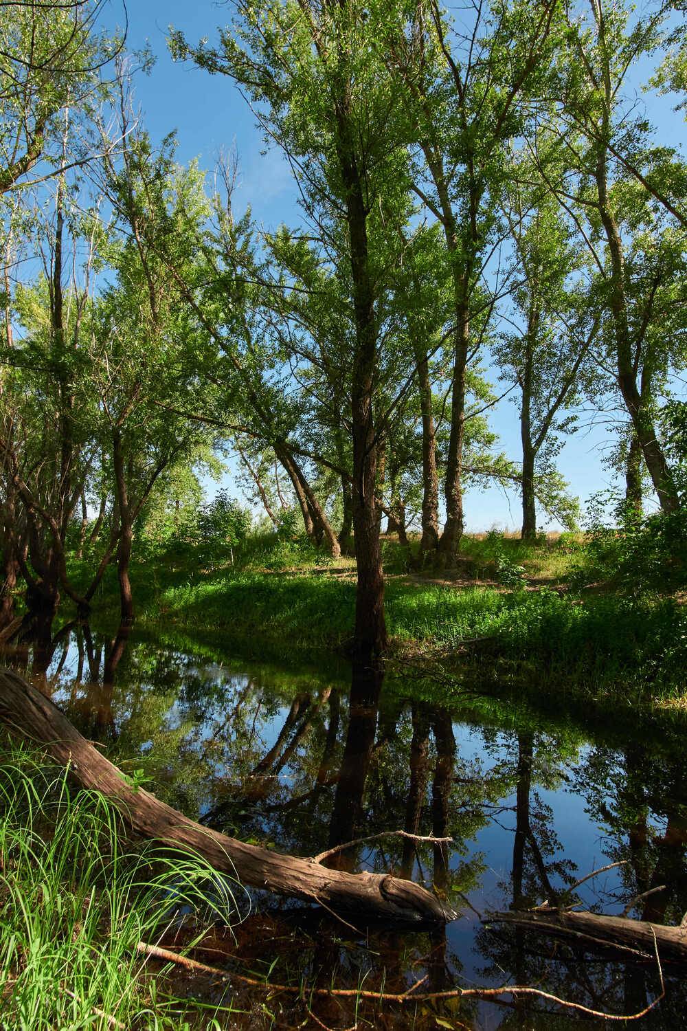 spring, volgograd, russia, Павел Сторчилов