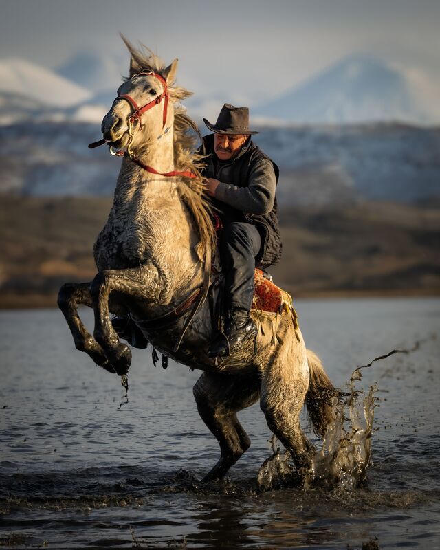 Dance in the Water фото превью