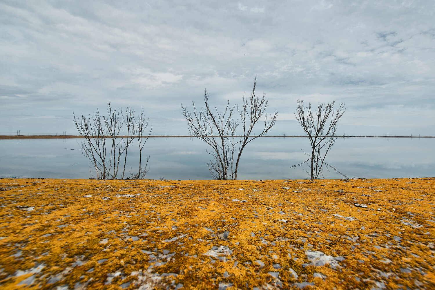 большой лиман, волгоградская область, Павел Сторчилов